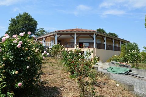 photo no. 6