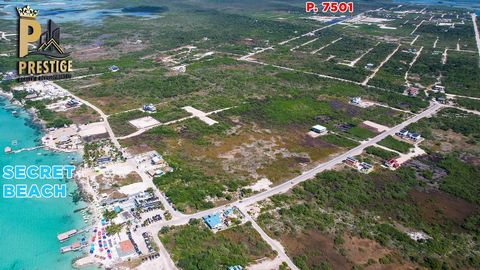 Imagine owning a piece of paradise on the breathtaking Ambergris Caye, located in the captivating country of Belize. This is not just a dream; it's an incredible opportunity waiting for you. Introducing this Prime Lot located on the main road leading...