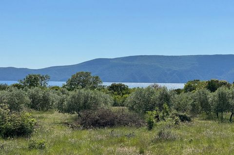 The island of Krk, town Krk, wider area, exclusive land surface area 36.000 m2 for sale, with building permit and sea view. Arranged and registered agricultural land, olive grove with 350 olive trees 5-6 years old. According to the valid building per...