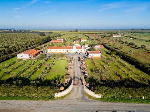 In the heart of Alentejo, between cork oaks and the vast plain that stretches as far as the eye can see, arises this magnificent property, now transformed into a rural tourism. Here you can enjoy moments of rest and serenity and participate in severa...