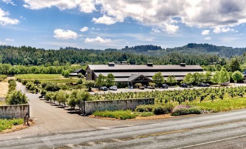 Embark on a prestigious winemaking journey in the heart of Dry Creek Valley with this exceptional winery estate. Built in 2016, this property encompasses a 20,070 SQ/FT winery and production facility, permitted for 26,920 total SQ/FT with potential e...