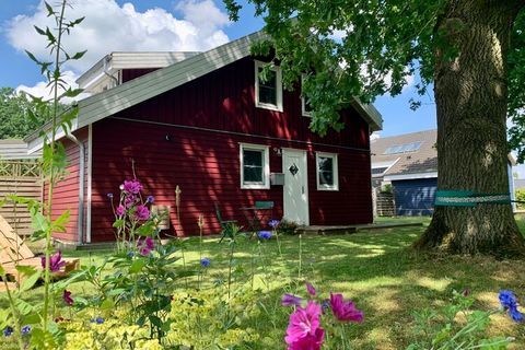 Gemütlich, modern und im skandinavischen Stil eingerichtetes Ferienhaus mit Ruderboot, Sauna, Whirlpool, Kamin sowie eigenem Garten mit Schaukel, Hängematte und Slackline direkt am Dümmer See. Das kleine Ferienhausgebiet liegt idyllisch in einem Natu...