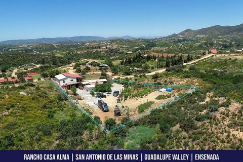 Boasting an expansive land area of 2,678 m² (28,825.75 ft²), this property can easily grow into your dream ranch, home, or even a bed and breakfast, a popular choice due to the area’s increasing popularity as a tourist destination. ABOUT THE PROPERTY...