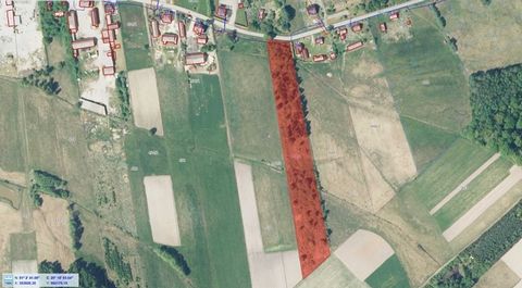 I offer you an agricultural and construction plot for sale. Plot No. 442/2 located in the village of Grębosze, Radoszyce commune, Konecki district, Świętokrzyskie voivodeship. The plot is located by the forest 1.5 km, with utilities in the plot (wate...