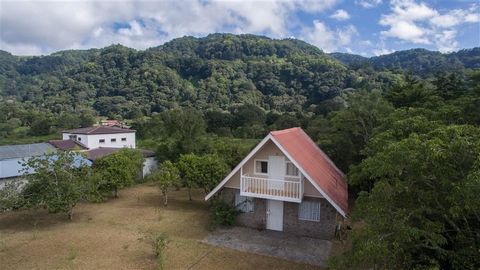 This is a nice, small three bedroom house with even greater potential on a beautiful lot close to downtown Volcan. The views from this property to the River and mountains are very lovely. Only 7 minutes to downtown Volcan. Fruit trees include citrus,...