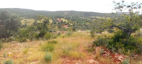 Terrain rustique avec caroubiers et amandiers - 7 840 m² de nature et de potentiel Nous vous présentons un terrain rustique de 7 840 mètres carrés, offrant une combinaison unique de zones plates et en pente, ponctuées de beaux caroubiers et amandiers...