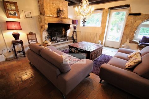 photo no. 13