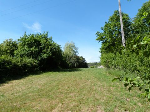 photo no. 2