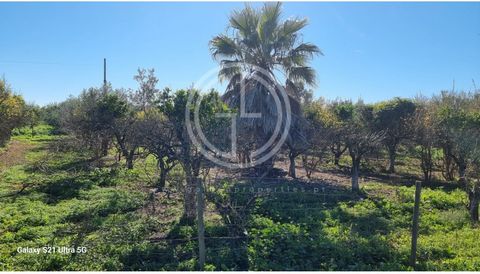 This is a one-of-a-kind opportunity! A plot of land with an existing house and the potential to expand up to 250 square meters, subject to approval from the relevant authorities. Situated near Faro, this plot offers unparalleled convenience, being cl...