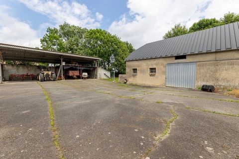 photo no. 2