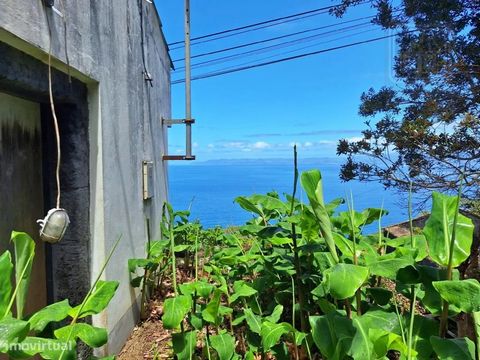 Moradia de tipologia T2, edificada em 2 pisos, localizada na zona de São Miguel Arcanjo, freguesia e concelho de São Roque do Pico, Ilha do Pico, Açores. Atendendo que a moradia está situada numa zona mais elevada, ela dispõe de óptima vista sobre o ...