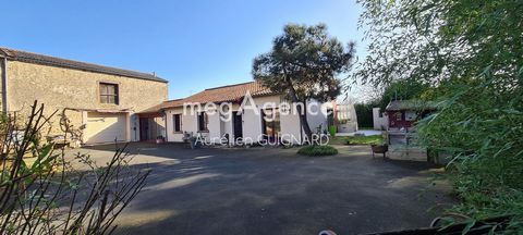 photo no. 18