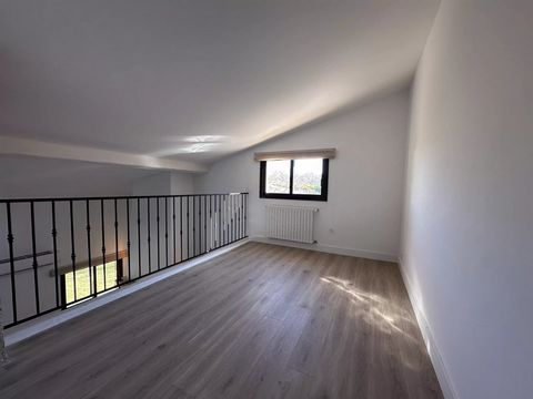 photo no. 15
