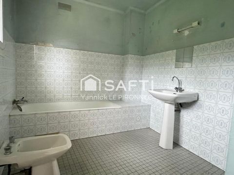 photo no. 5