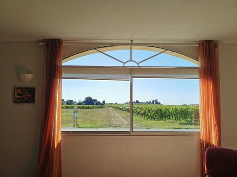 photo no. 9