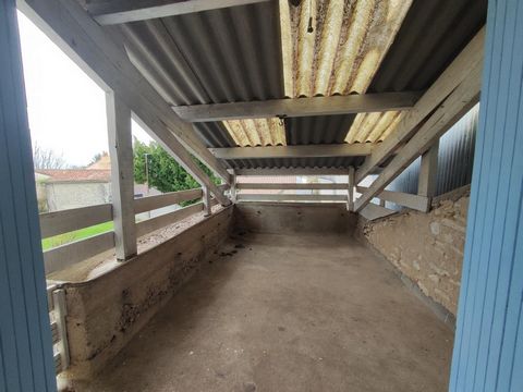 photo no. 15