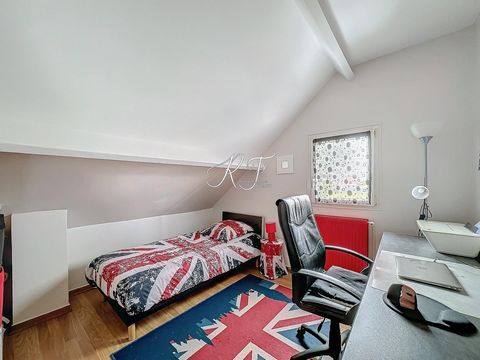 photo no. 8