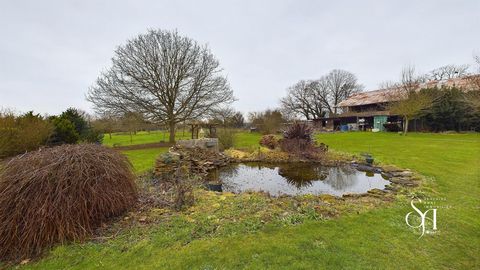 photo no. 16