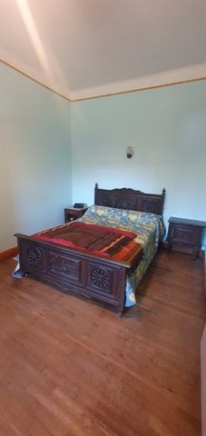 photo no. 4