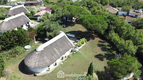 Maison de pays - 90m² - Saintes-Maries-de-la-Mer