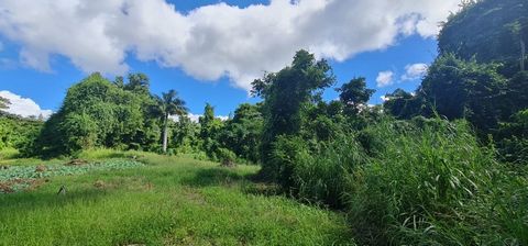 Dpt Guadeloupe (971), à vendre SAINT CLAUDE - Terrain de 15 220,00 m²