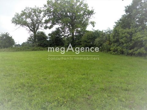 terrain agricole arboré
