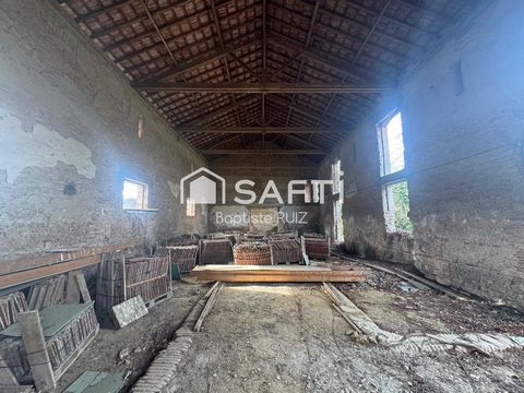 photo no. 2
