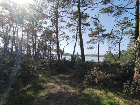 Terrain situé dans un quartier calme à 1 km de la mer