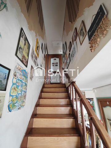 photo no. 5