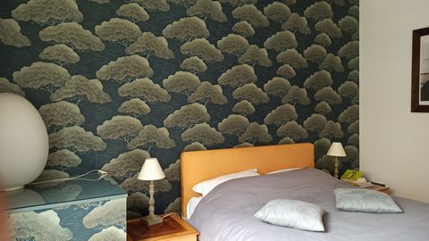 photo no. 19