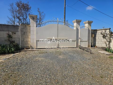 photo no. 17