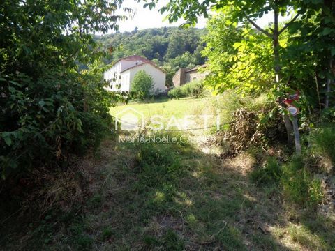 photo no. 8