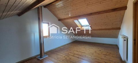 photo no. 11