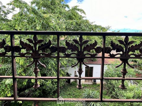 photo no. 17