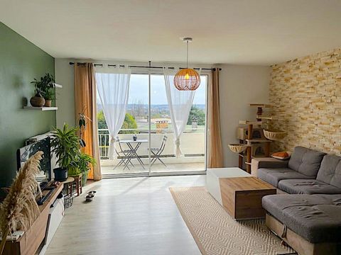 photo no. 11