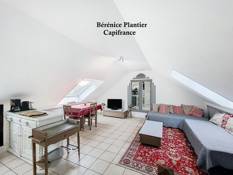 Charmant T1 Duplex Lumineux à Fillinges
