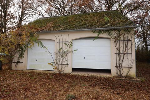 photo no. 18