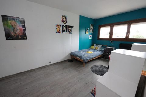 photo no. 7