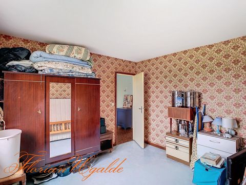 photo no. 7