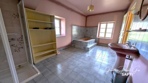 photo no. 6