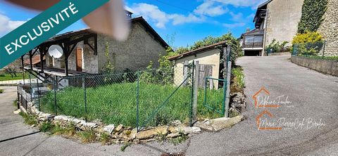 photo no. 19