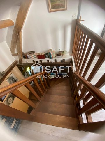 photo no. 11
