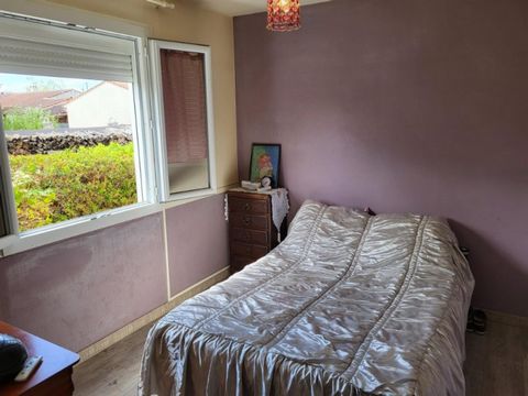 photo no. 11