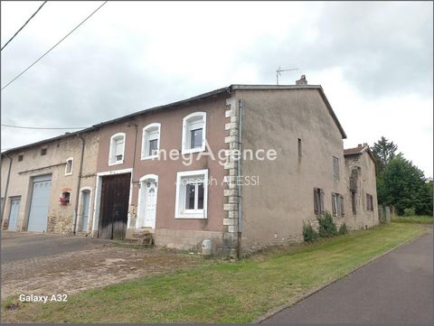 photo no. 11