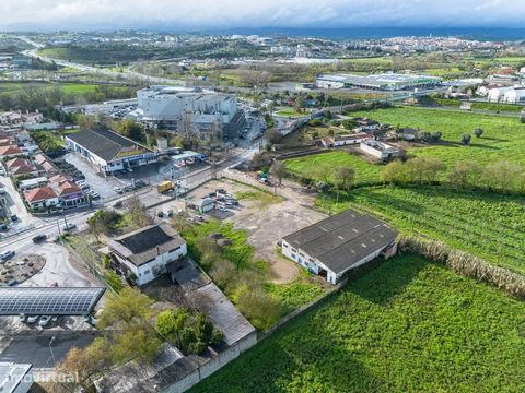 Pavilion, with license for workshop, with 775m2, with office, toilet and loading/unloading area. Land with 4944m2, with excellent access, next to Torre Shopping, fuel pumps, supermarkets and 2 minutes from the A23. An area of excellence to develop yo...