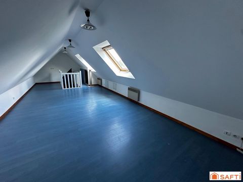 photo no. 12
