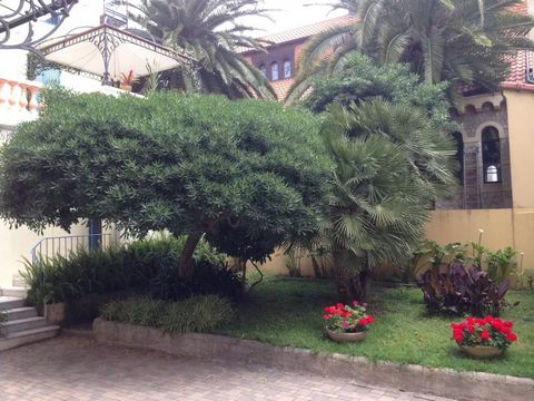 photo no. 35
