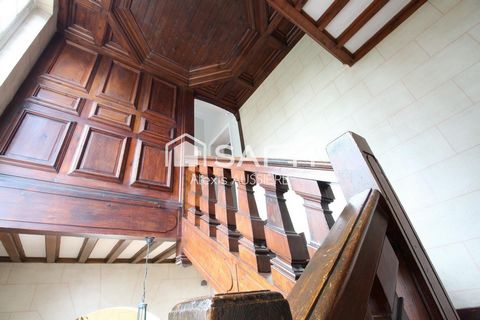 photo no. 12