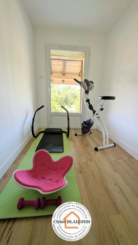 photo no. 11