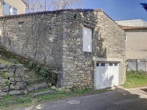 photo no. 15